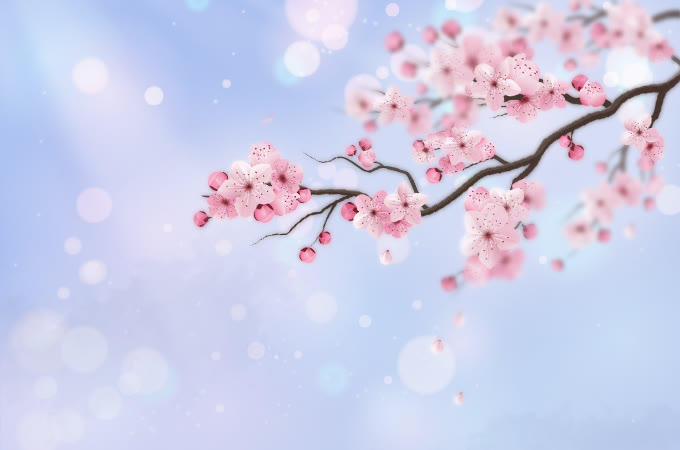 spring-homepage